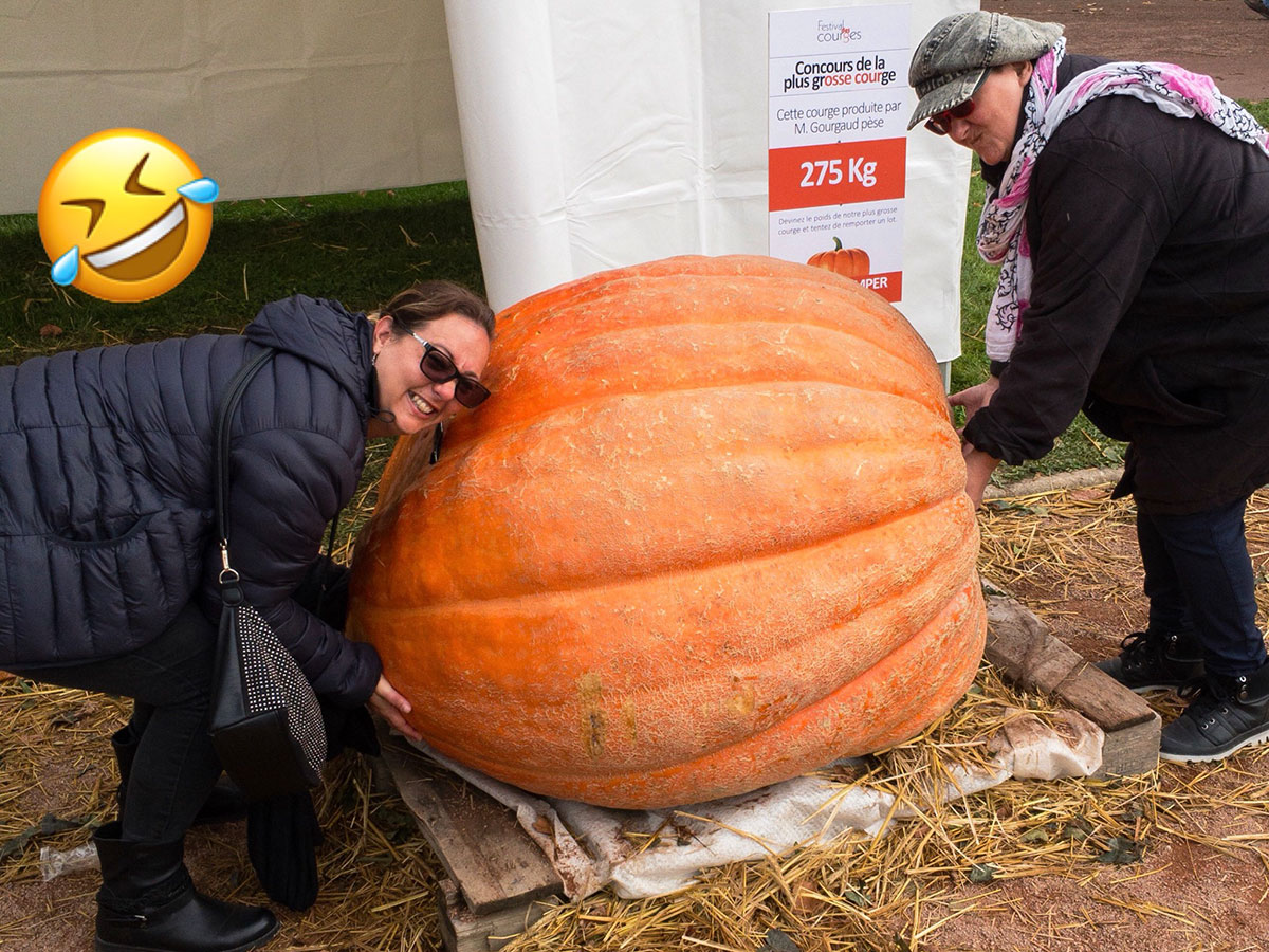 Le Festival des courges 2017 au Jardin Botanique Parc de la Tête d’Or à Lyon (Rhône)